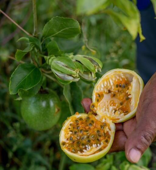 Birds Resort Hambantota