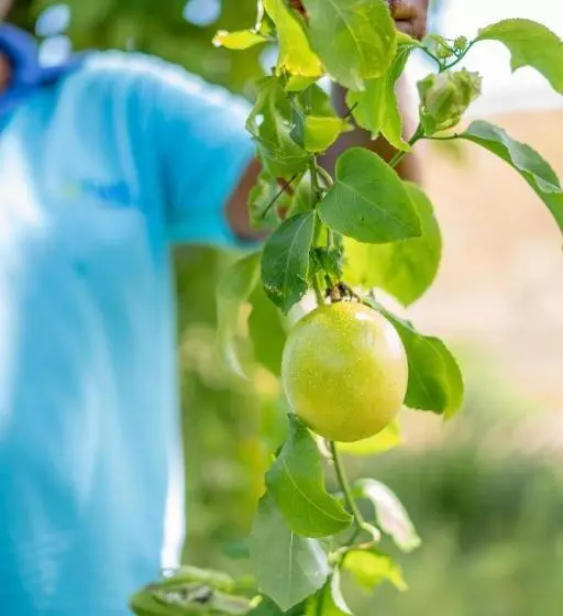 Birds Resort Hambantota