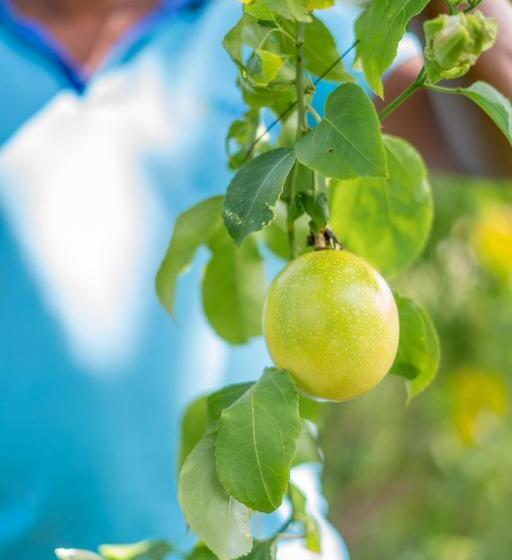 Birds Resort Hambantota