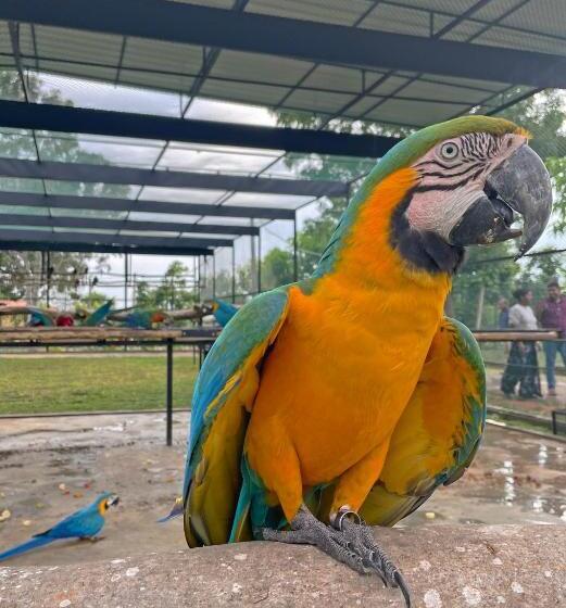 Birds Resort Hambantota