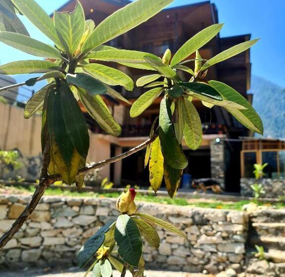 Отель The Hillside