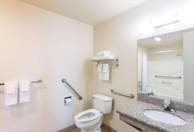 Отель Travel Inn Mesa