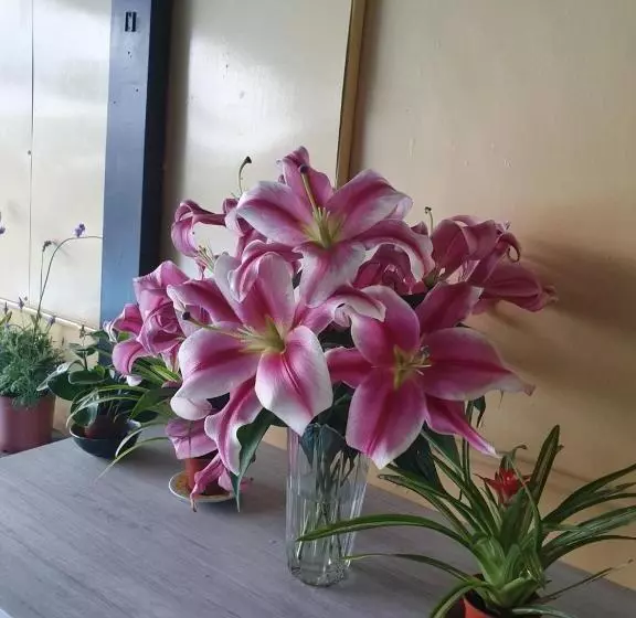 پانسیون Stay If You Wish Homestay