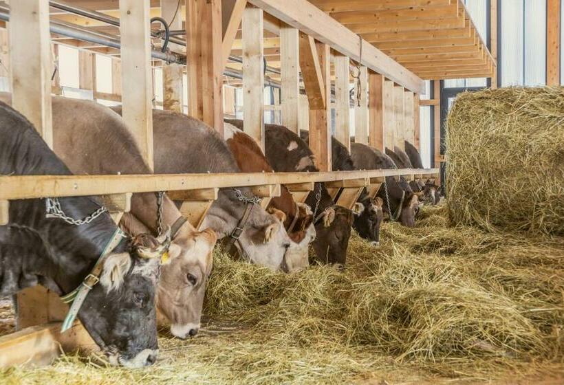 Отель Agritur Broch