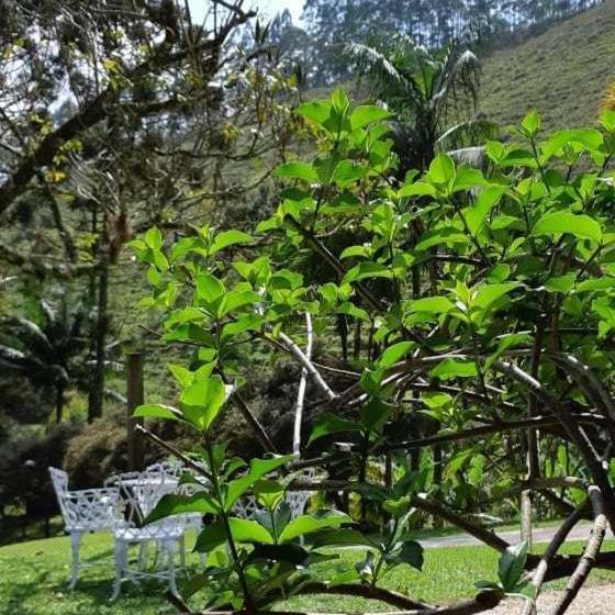 Pensionat Pousada Vale Das Flores