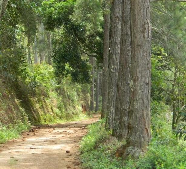 Pensionat Pousada Vale Das Flores