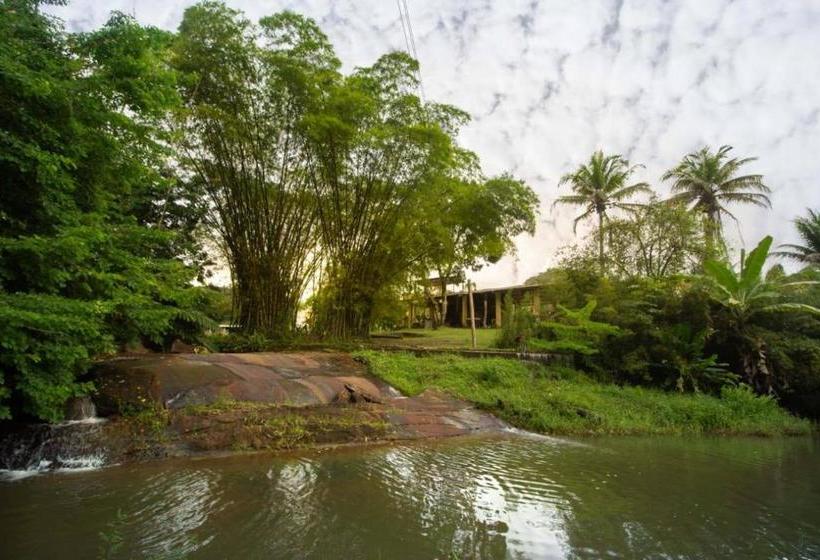 膳宿费 Pousada Toca Da Coruja