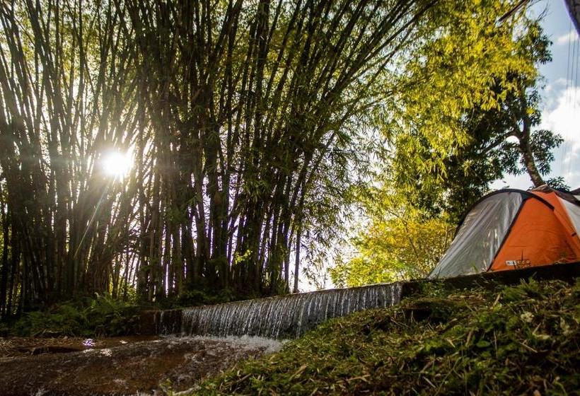 膳宿费 Pousada Toca Da Coruja