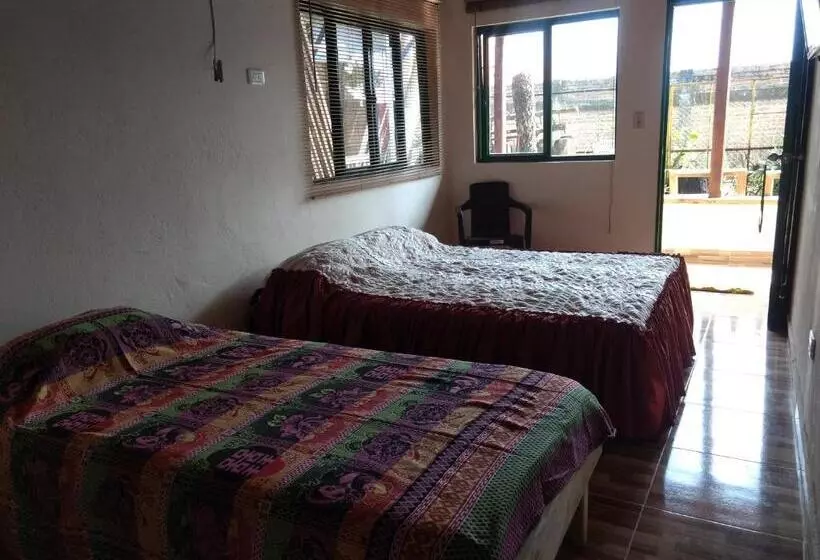 ユースホステル Aroma Cafetera