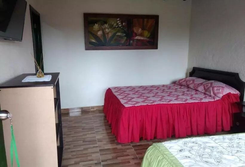 ユースホステル Aroma Cafetera