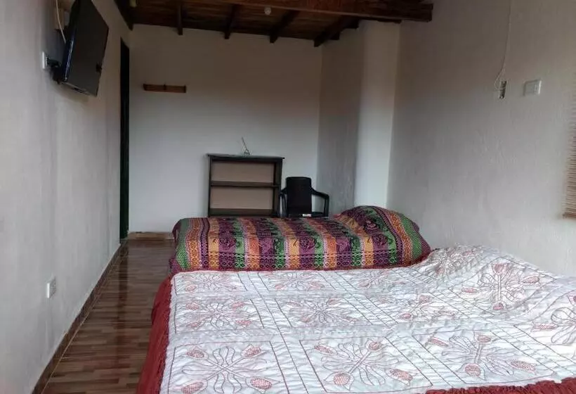 ユースホステル Aroma Cafetera