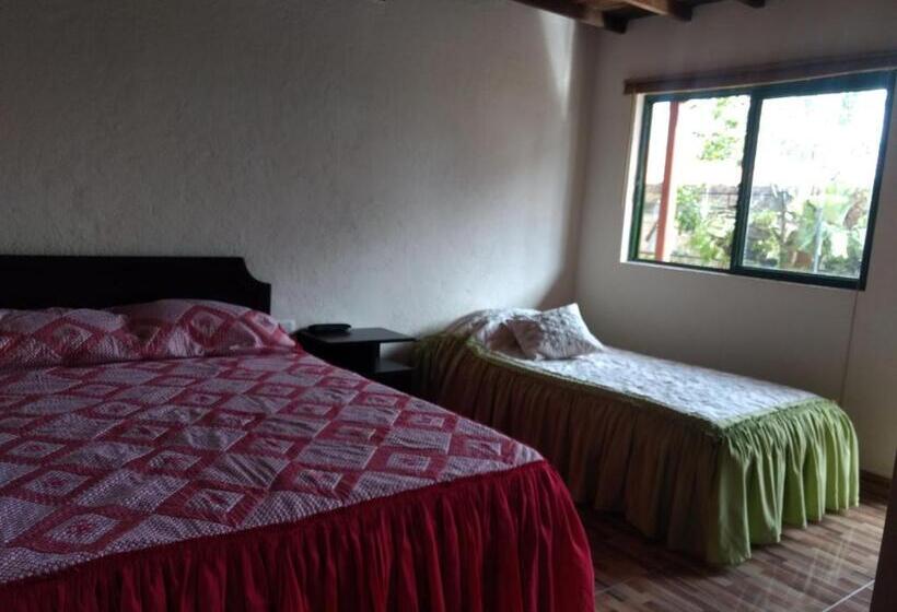 Herberge Aroma Cafetera