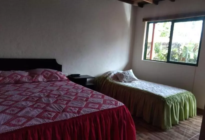 ユースホステル Aroma Cafetera