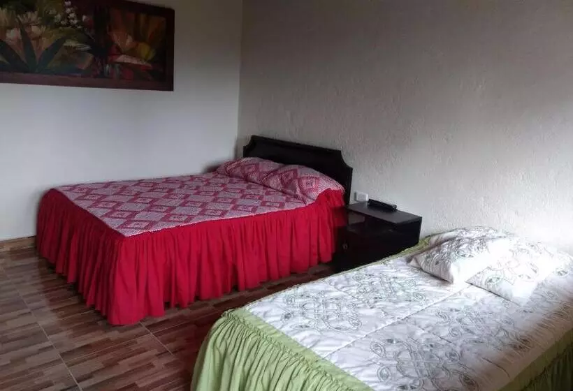 ユースホステル Aroma Cafetera