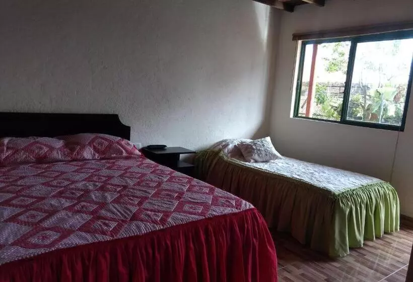 ユースホステル Aroma Cafetera