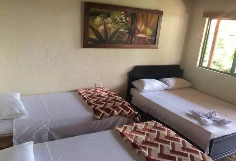 ユースホステル Aroma Cafetera