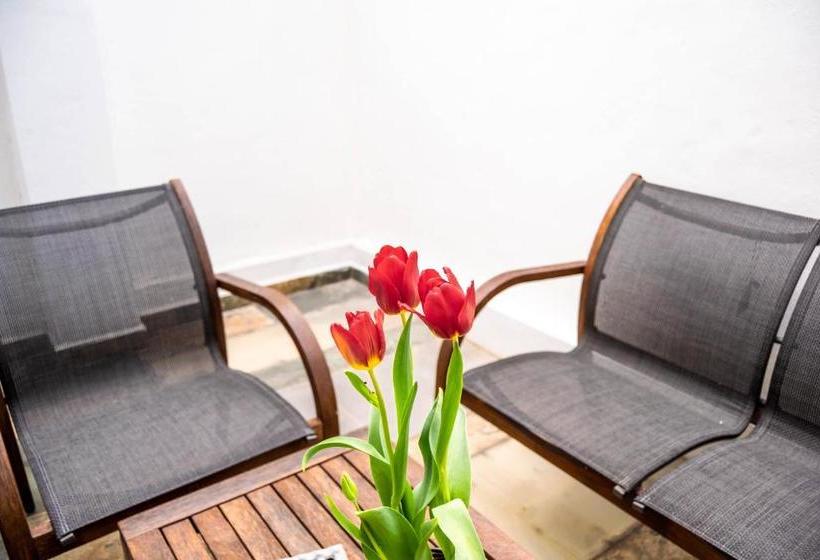 Casa Ohana By Bawa Vacation Rentals