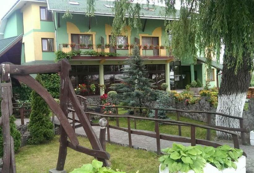 هتل Pensiunea Brigi