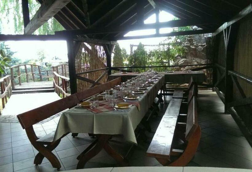 هتل Pensiunea Brigi