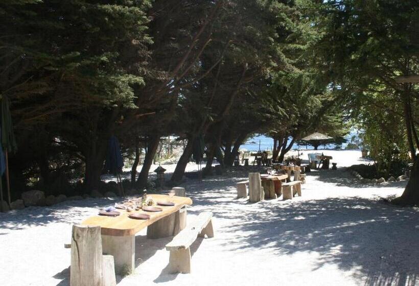 Курорт Club El Tebo