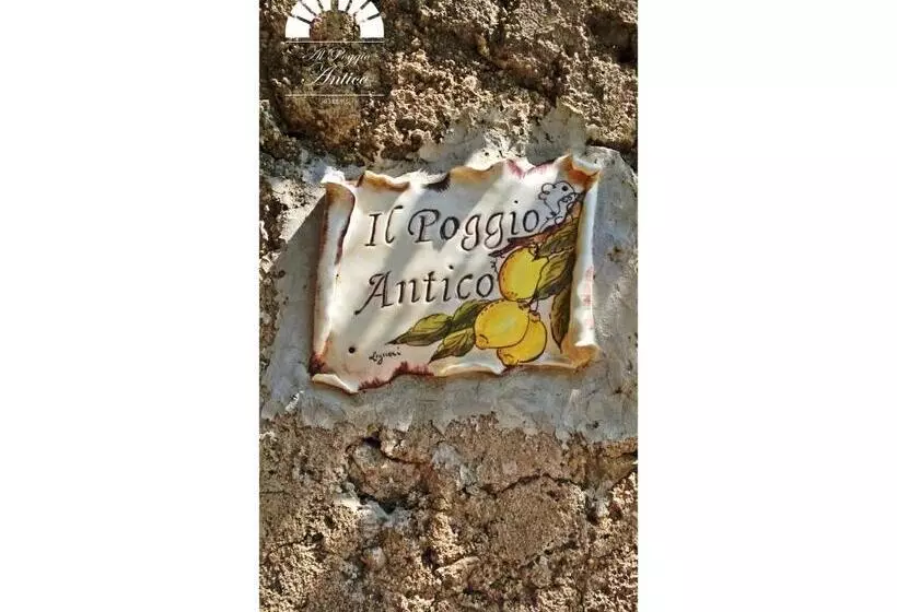 Al Poggio Antico