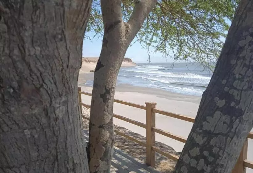 ユースホステル Chicama Surf Camp