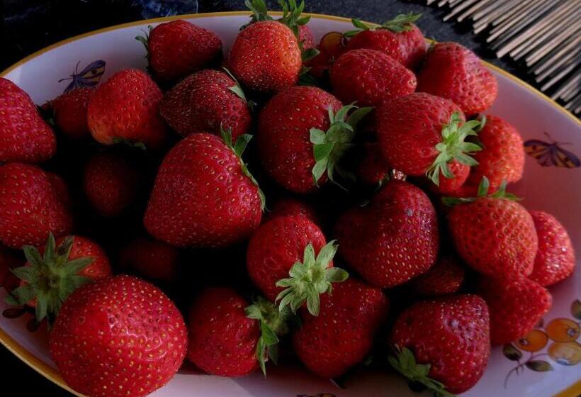 Bed and Breakfast La Claverie