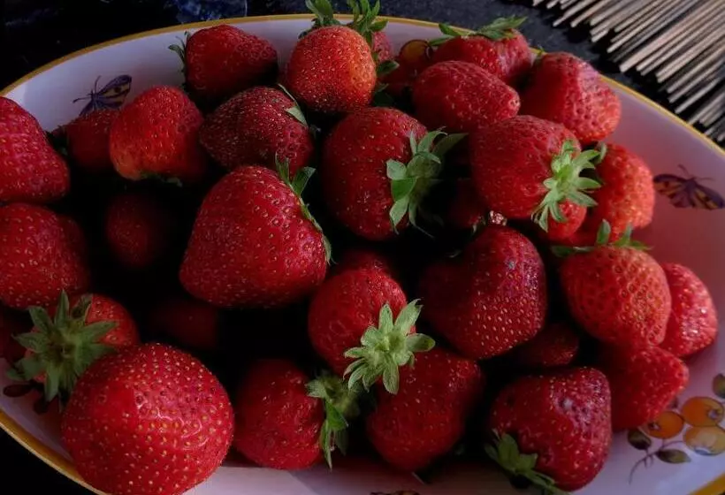 ベッドアンドブレックファースト La Claverie