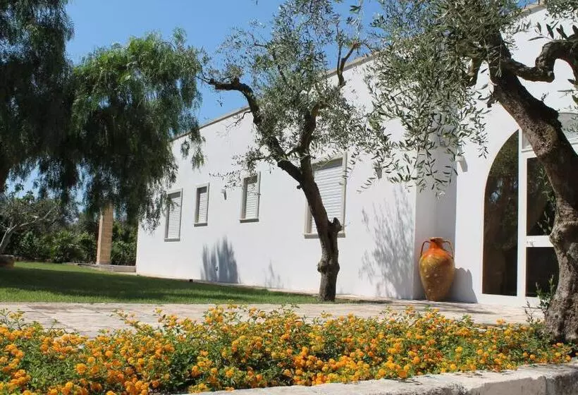 Paloma B&b