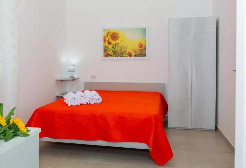Paloma B&b