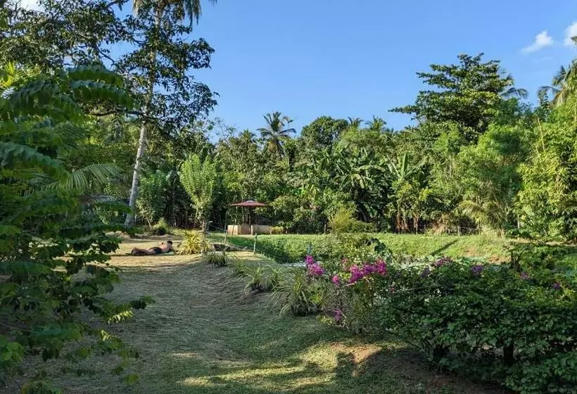 Majatalo Avian Garden Udawalawe