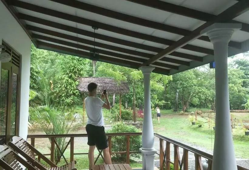 Majatalo Avian Garden Udawalawe