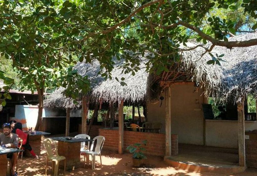 پانسیون Lotus Garden   Near Matrimandir Center Auroville