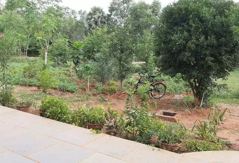Majatalo Lotus Garden   Near Matrimandir Center Auroville