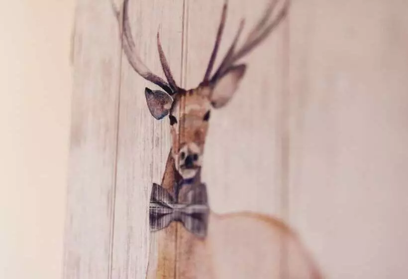 Отель Alban And Abbey House