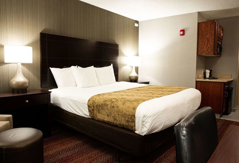 فندق Best Western Providenceseekonk Inn