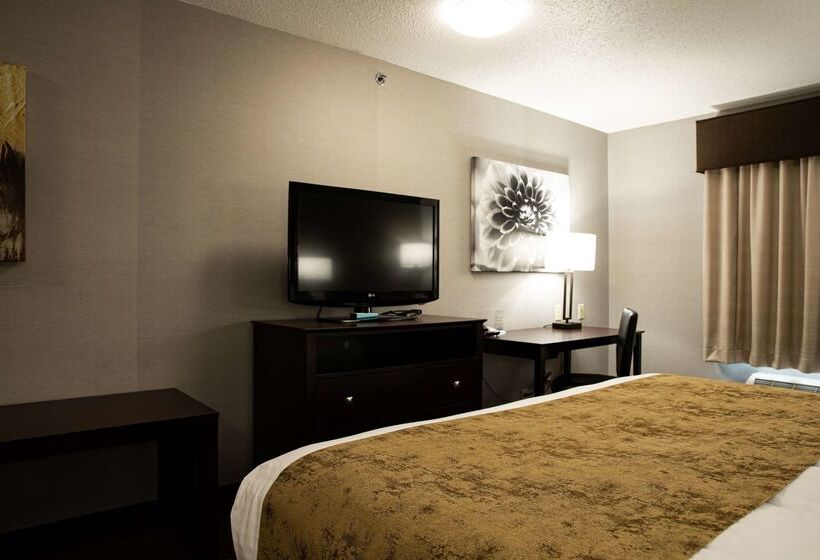 فندق Best Western Providenceseekonk Inn