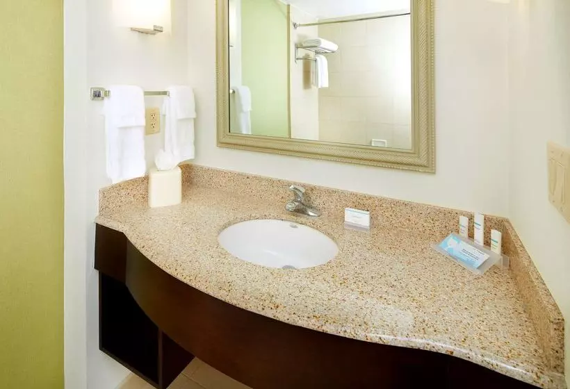 בית מלון כפרי Hilton Garden Inn Savannah Midtown