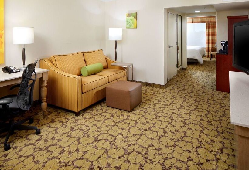 فندق Hilton Garden Inn Savannah Midtown