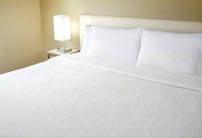 בית מלון כפרי Hilton Garden Inn Savannah Midtown