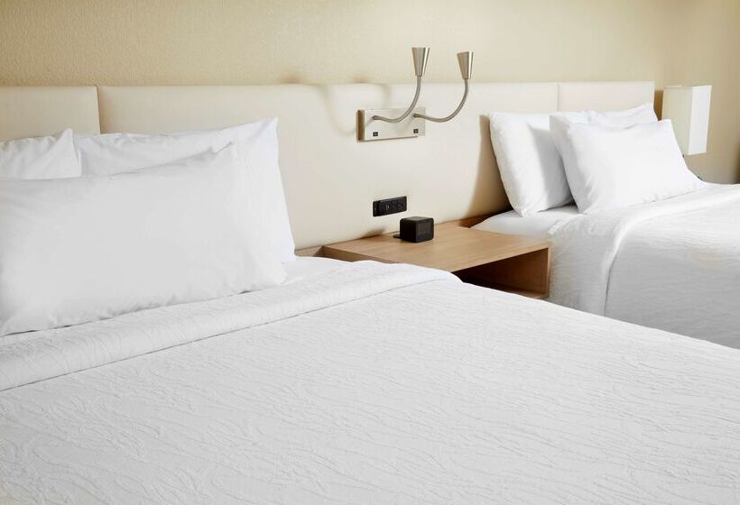 فندق Hilton Garden Inn Savannah Midtown