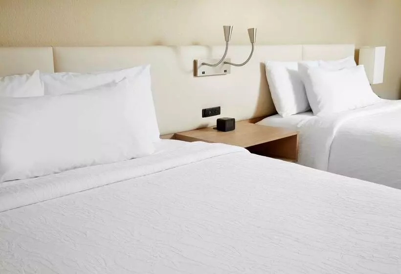 בית מלון כפרי Hilton Garden Inn Savannah Midtown