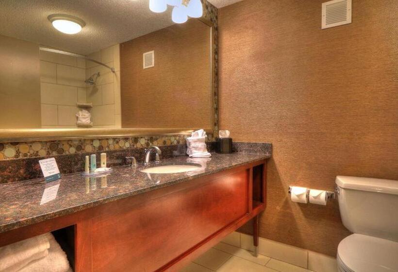 فندق Quality Inn Near The Island Pigeon Forge