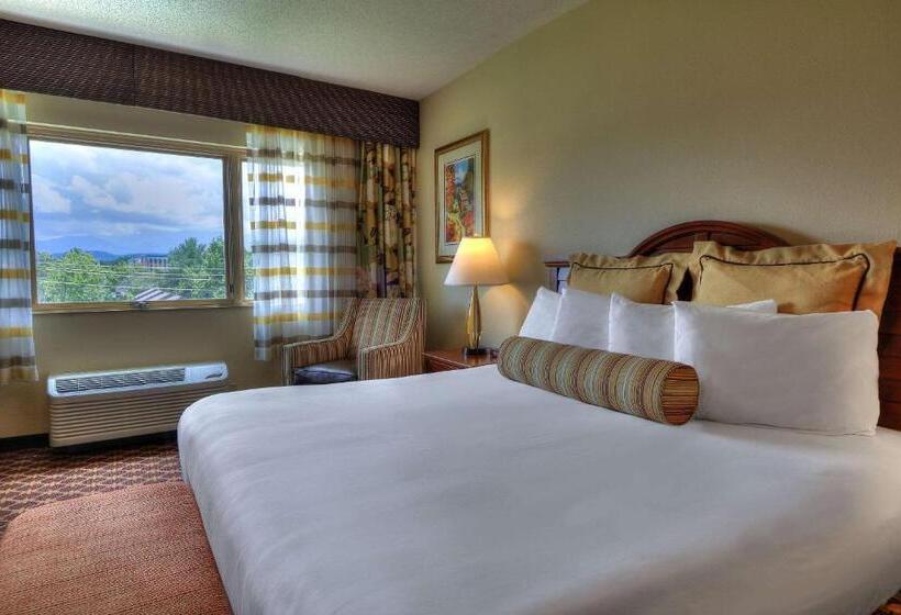 فندق Quality Inn Near The Island Pigeon Forge