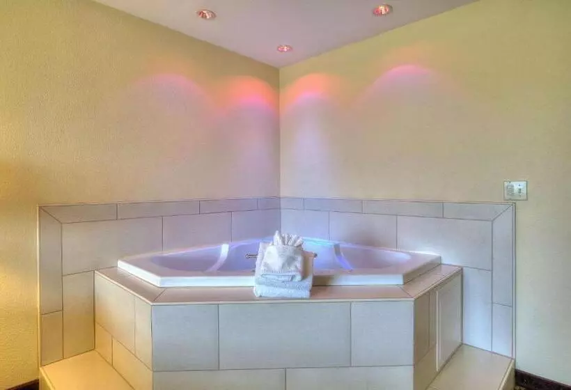 فندق Quality Inn Near The Island Pigeon Forge