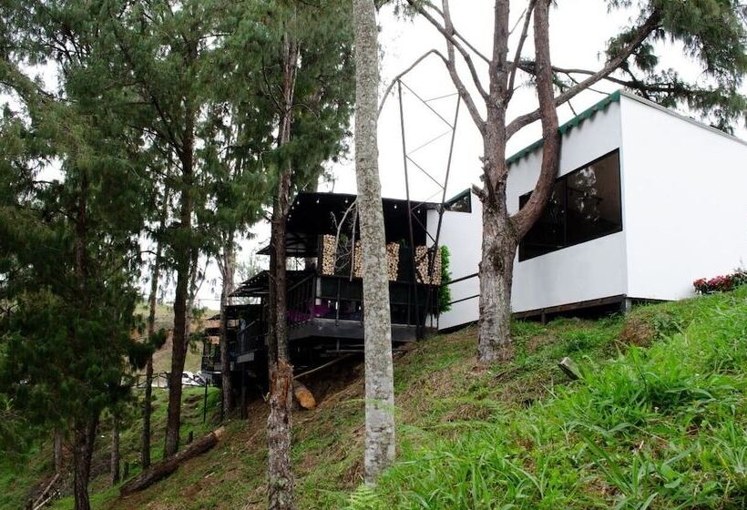 هتل Mumu Guatapé