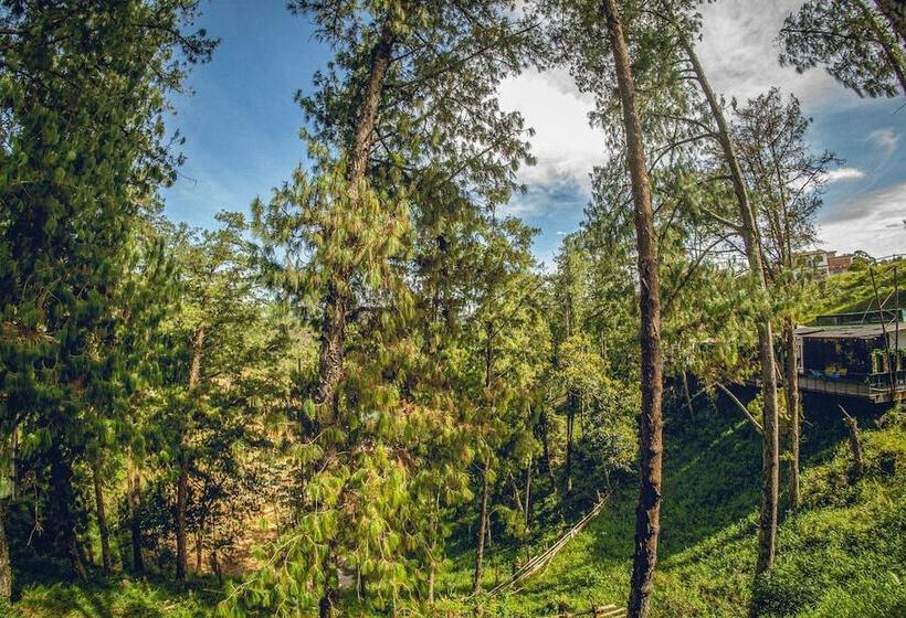 هتل Mumu Guatapé