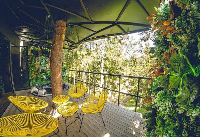 هتل Mumu Guatapé