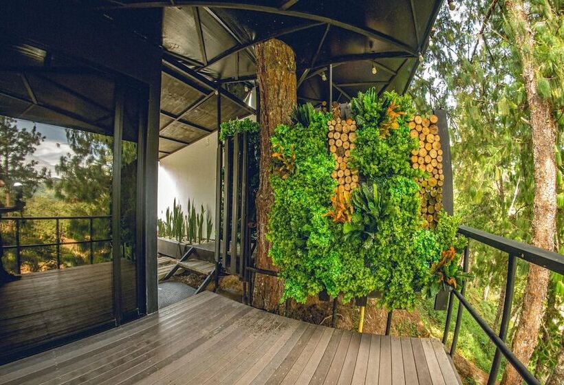 هتل Mumu Guatapé