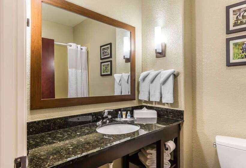 فندق Comfort Suites Houston Iah Airport Beltway 8